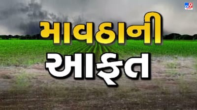 Gujarati VIDEO : સાવલી તાલુકાના વાતાવરણમાં પલટો, જગતના તાત પર ઘેરાયા ચિંતાના વાદળો