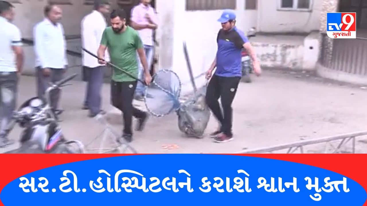 Gujarati Video : ભાવનગરની સર.ટી.હોસ્પિટલને શ્વાન મુક્ત કરવાની કામગીરી હાથ ધરાઈ, Videoમાં કેદ થયા દ્રશ્યો