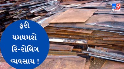 Gujarati Video : અલંગનો રિ-સાયક્લિંગ અને રિ-રોલિંગ મીલ ફરી ધમધમશે, હાઇપાવર કમિટી અલંગ અને સિહોરની મુલાકાત લેશે