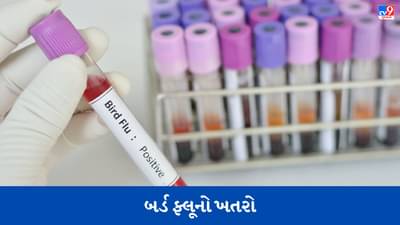કોરોના બાદ હવે બર્ડ ફ્લૂનો ખતરો, આ દેશમાં 53 વર્ષીય વ્યક્તિ સંક્રમિત જોવા મળ્યો