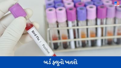 કોરોના બાદ હવે બર્ડ ફ્લૂનો ખતરો, આ દેશમાં 53 વર્ષીય વ્યક્તિ સંક્રમિત જોવા મળ્યો