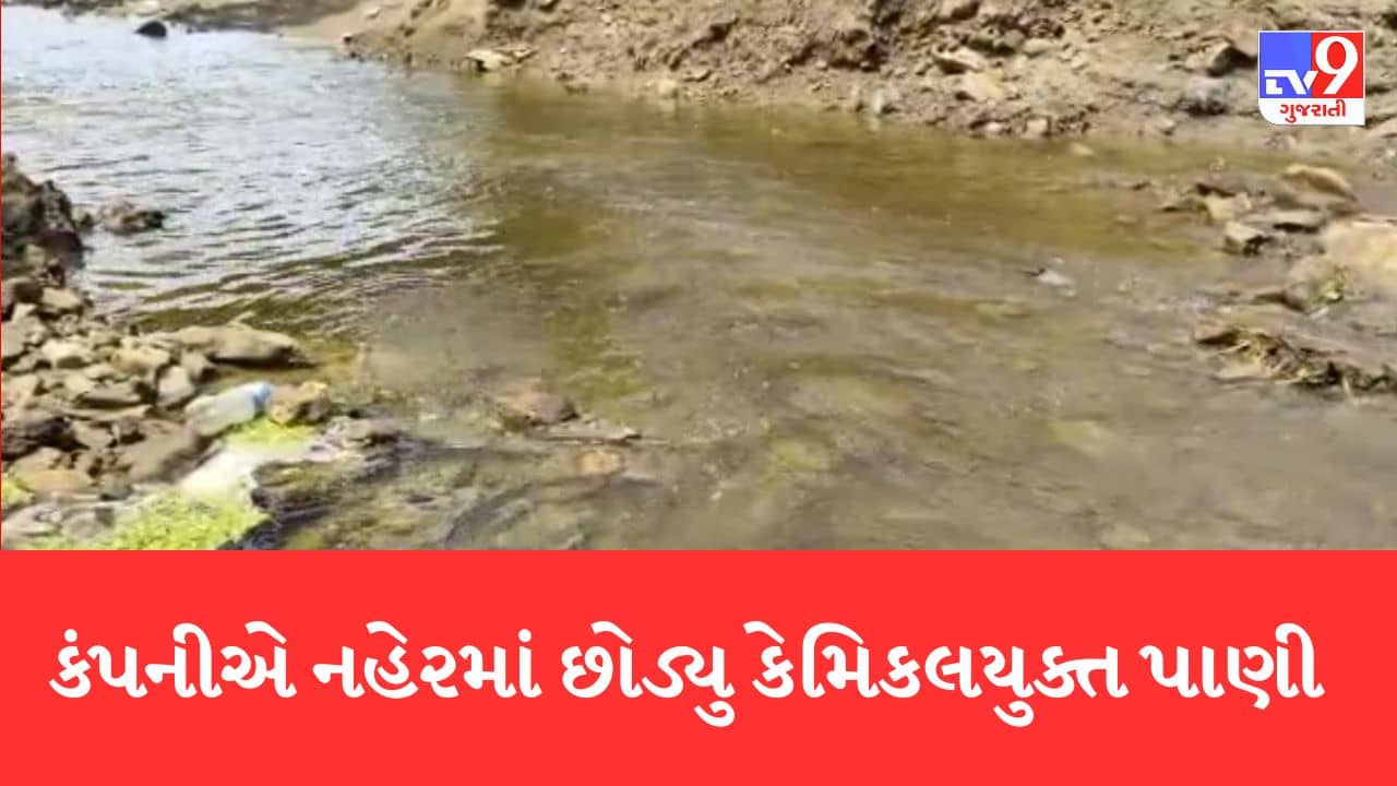 Gujarati Video: વલસાડમાં કંપનીએ કેમિકલયુક્ત પાણી નહેરમાં છોડતા સિંચાઈ માટેનુ પાણી પ્રદૂષિત થયું, ખેડૂતોમાં રોષ