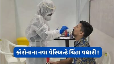 વેરિઅન્ટ XBB.1.16 દેશમાં કોવિડનો ગ્રાફ વધારી રહ્યો છે ? ડૉ. ગુલેરિયાએ ફરી આપી ચેતવણી- તાવને હળવાશથી ન લો