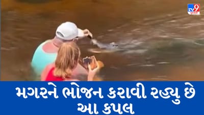 Viral Video : એક કપલે નદીના પાણીમાં બેસીને મગરને ખવડાવ્યો ખોરાક, લોકોએ કહ્યું- આ હિંમત નથી, મૂર્ખતા છે