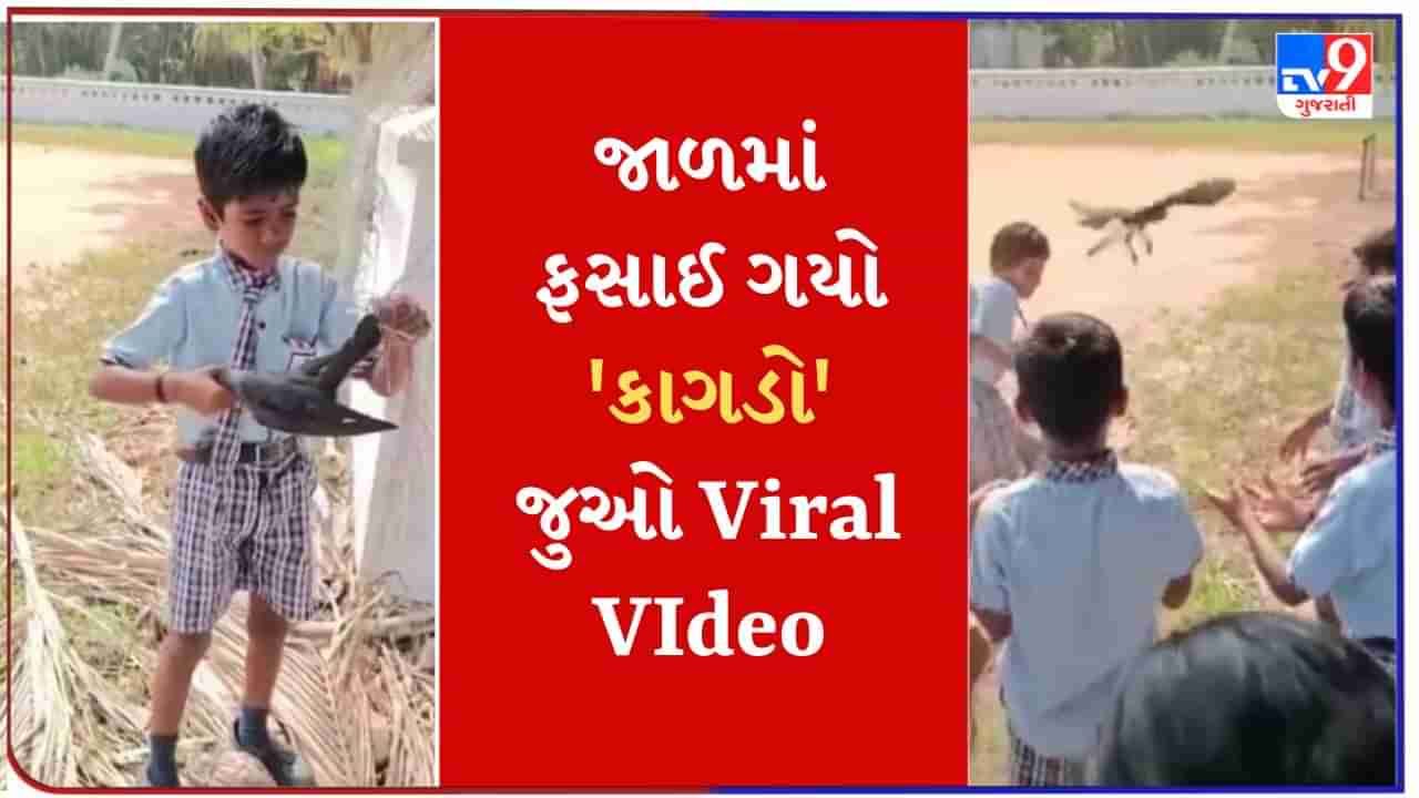 Cute Viral Video : જાળમાં ફસાયો કાગડો, શાળાના બાળકે બચાવ્યો જીવ- જુઓ હ્રદયસ્પર્શી Viral Video