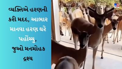 Heart Touching Video : વ્યક્તિએ મુશ્કેલીમાં હરણની કરી મદદ, પછી આભાર માનવા મિત્રો સાથે પહોંચ્યો ઘરે