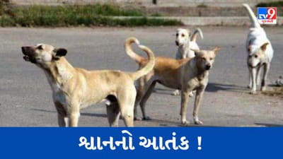 Breaking News : સુરતમાં પાંચ વર્ષની બાળકી પર ફરી એક શ્વાનનો હુમલો, 40 દિવસમાં રખડતા શ્વાને બેના ભોગ લીધા