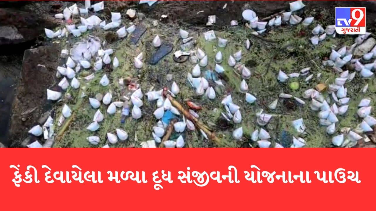 Gujarati Video: Tapi- હજારોની સંખ્યામાં દૂધ સંજીવના યોજના હેઠળના દૂધના પાઉચ નદીમાંથી મળી આવ્યા