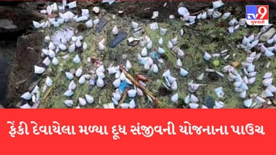 Gujarati Video: Tapi- હજારોની સંખ્યામાં દૂધ સંજીવના યોજના હેઠળના દૂધના પાઉચ નદીમાંથી મળી આવ્યા