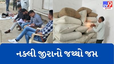 Gujarati Video : ઊંઝાના દાસજ ગામમાંથી ઝડપાયુ નક્લી જીરું, 3 હજાર કિલોથી વધુ નકલી જીરાનો જથ્થો જપ્ત