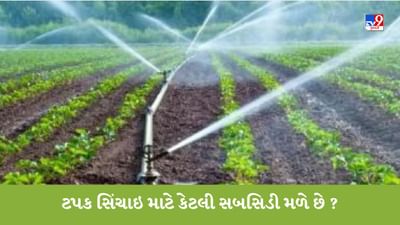 સરકાર ડ્રિપ અને ફુવારા પદ્ધતિ પર સબસિડી આપે છે, ખેડૂતોને અહીં નોંધણી કરાવવી પડશે
