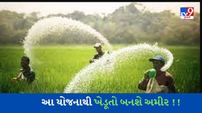આ સરકારી યોજનાઓનો લાભ લઈને ખેડૂતો થઇ જશે માલામાલ, આ રીતે આવકમાં વધારો થશે