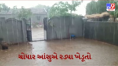 Gujarati Video : માવઠાએ ખેડૂતોની આશા પર ફેરવ્યુ પાણી, બનાસકાંઠાના અનેક ગામોમાં કમોસમી વરસાદથી ખેડૂતો થયા પાયમાલ
