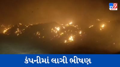 Gujarati Video : દેવભૂમિ દ્વારકાના કલ્યાણપુરની કિશાન બાયોકોલ કંપનીમાં લાગી ભીષણ આગ, 6 ફાયર ફાઇટરોની ટીમ ઘટના સ્થળે