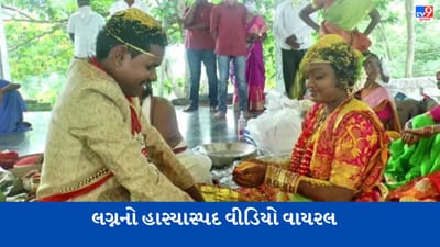 Funny Video: વરરાજા લગ્નની વિધીની મજા માણી રહ્યો હતો, અચાનક વાંદરાએ કરી નાખ્યો કાંડ !