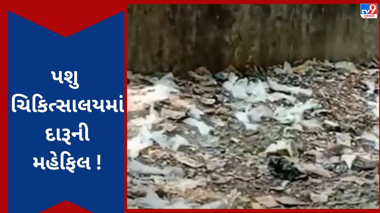 Gujarati VIDEO : પશુ ચિકિત્સાલય છે કે દારૂનો અડ્ડો ! કમ્પાઉન્ડમાંથી ઠેર-ઠેર દેશી દારૂની ખાલી પોટલીઓ મળતા ખળભળાટ, જુઓ Video