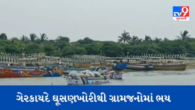 Gujarati Video : મૂળ દ્વારકા બંદર પર દરિયાઈ માર્ગે 200 બોટ સાથે 1000 માછીમારોએ કરી ઘૂસણખોરી, સ્થાનિકોમાં ભયનો માહોલ