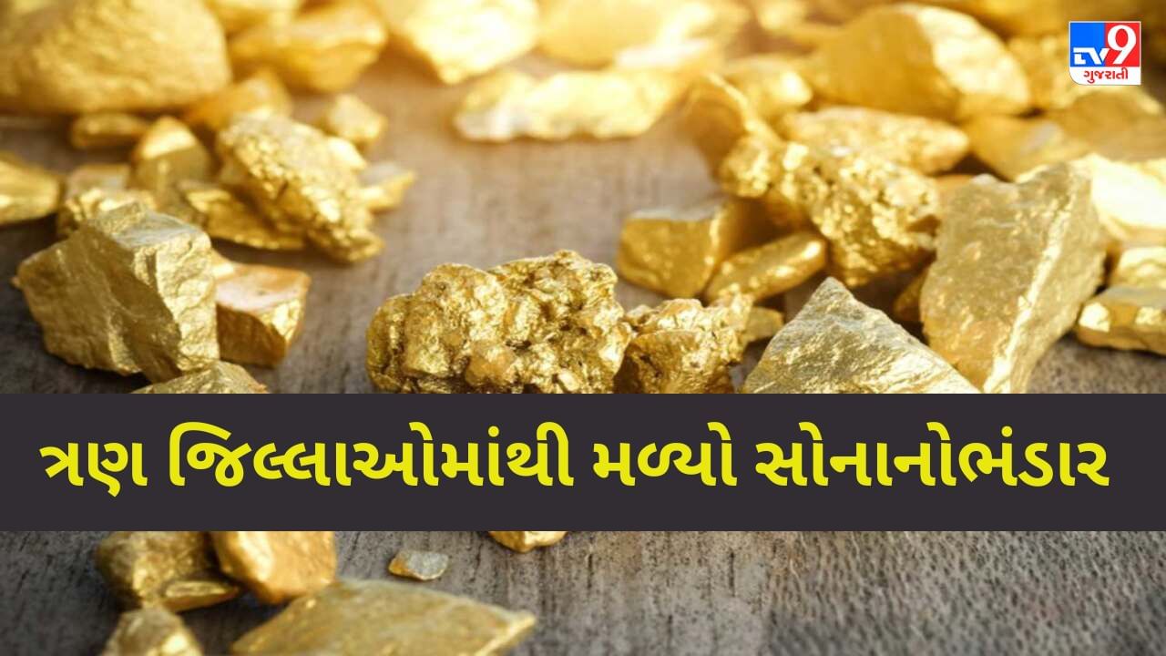 Gold Mines ત્રણ જિલ્લાઓ દેશની તિજોરી છલકાવશે!!! ભારતમાં સોનાનો વિપુલ
