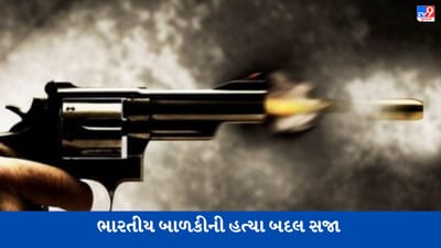 America: બે લોકો વચ્ચેની લડાઈમાં ભારતીય મૂળની બાળકીએ ગુમાવ્યો જીવ, આરોપીને 100 વર્ષની સજા