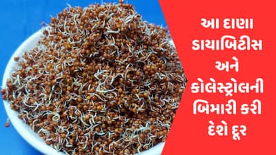 શું 100 mg/dL થી ઉપર રહે છે તમારુ ફાસ્ટિંગ બ્લડ સુગર ? તો ખાલી પેટ આ 2 વસ્તુનું કરો સેવન