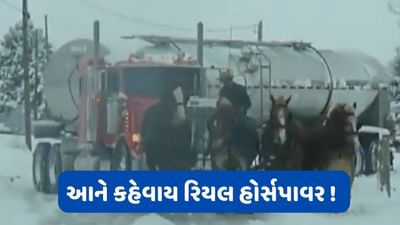 જબરદસ્ત ! બરફમાં ફસાયેલા ભારે ભરખમ વાહનને ખેંચીને બહાર લાવ્યા ઘોડા !, જુઓ Video Viral
