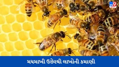 આ ખેડૂત મધમાખી ઉછેરથી કમાય છે 25 લાખ, 10 હજારથી શરૂ કરી હતી શરૂઆત