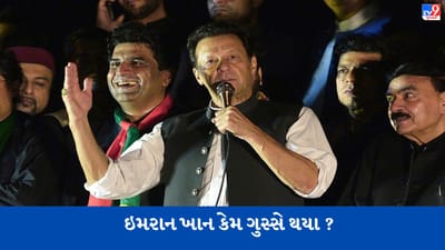 Pakistan : પીટીઆઈના સોશિયલ મીડિયા હેડની પોલીસે ધરપકડ કરી, ઈમરાન ખાન ગુસ્સે ભરાયા, કહ્યું હવે બહુ થયું બસ