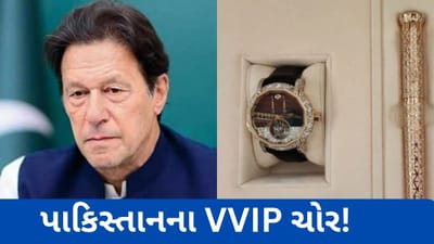 ઈમરાન ખાને જ નહીં પાકિસ્તાનના અન્ય આ નેતાઓએ પણ તોશાખાનામાંથી ગિફ્ટ લઈ પોતાની પાસે રાખી છે, વાંચો તે નેતાઓના નામ