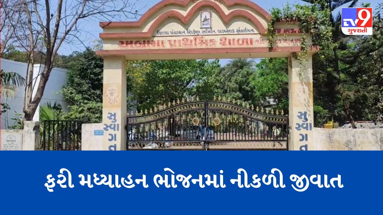 Gujarati Video: વલસાડના અબ્રામા પ્રાથમિક શાળામાં મધ્યાહન ભોજનમાં ઈયળ, સંચાલકો સામે કડક પગલા લેવા માગ Gujarati Video: વલસાડના અબ્રામા પ્રાથમિક શાળામાં મધ્યાહન ભોજનમાં ઈયળ, સંચાલકો સામે કડક પગલા લેવા માગ