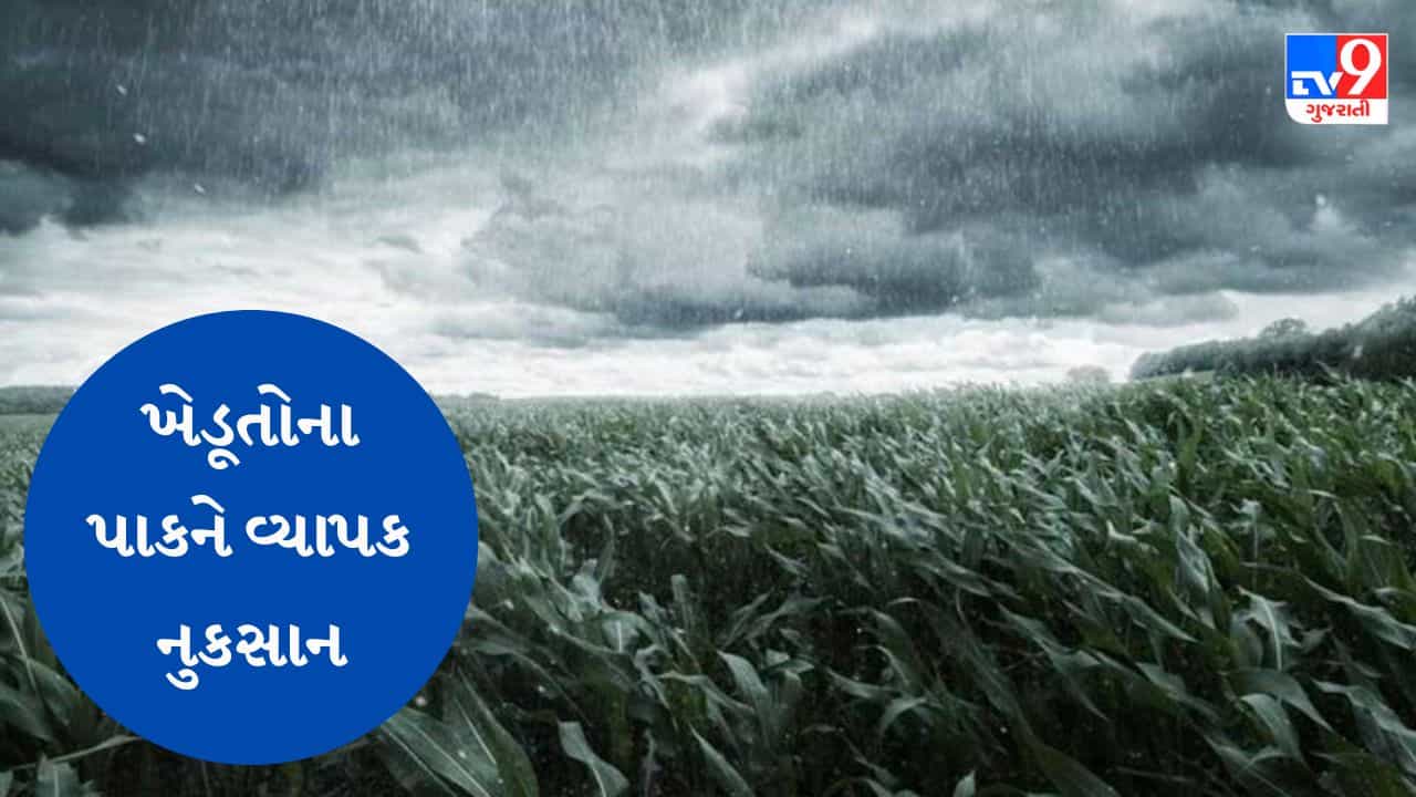 Gujarati Video : જૂનાગઢમાં ભર ઉનાળામાં ચોમાસા જેવો માહોલ જોવા મળ્યો, ખેડૂતોના પાકને વ્યાપક નુકસાન