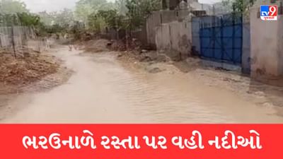 Gujarati Video: કચ્છમાં ફરી કમોસમી વરસાદ, ભચાઉ, રાપર અને રામવાવમાં ધોધમાર વરસાદ ખાબક્યો