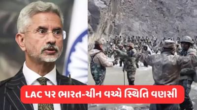' પૂર્વ લદ્દાખમાં LAC પર પરિસ્થિતિ ખૂબ જ નાજુક', વિદેશ મંત્રી જયશંકરે કહ્યું- ચીન સાથેના સંબંધો અત્યારે સામાન્ય ન હોઈ શકે