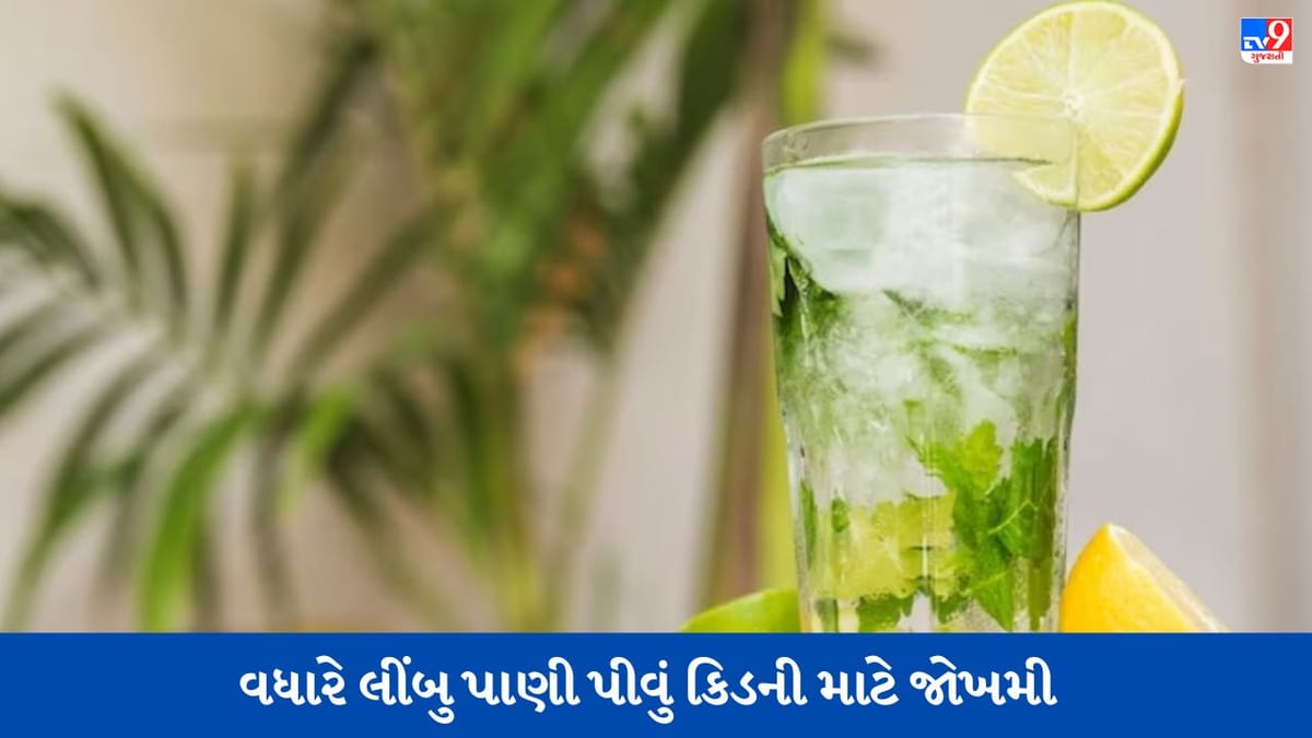 શું દિવસમાં ત્રણ વખત લીંબુનું શરબત પીવાથી કિડનીને નુકસાન થવાનું જોખમ છે ? જાણો નિષ્ણાતોના મંતવ્ય