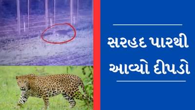 Viral Video : પાકિસ્તાનની બોર્ડર ક્રોસ કરી ભારતમાં ઘૂસ્યો દીપડો, પોલીસે જાહેર કર્યું એલર્ટ