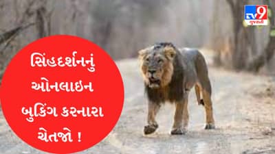 Junagadh : સિંહદર્શનનું ઓનલાઇન બુકિંગ કરનારા ચેતજો ! બનાવટી વેબસાઇટથી અનેક લોકો છેતરપિંડીના ભોગ બન્યા