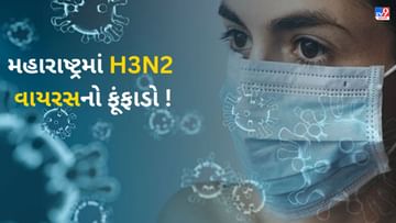 નવા વાયરસનું સંકટ : મહારાષ્ટ્રમાં ઝડપથી ફેલાઈ રહ્યો છે H3N2 વાયરસ, મેડિકલના વિદ્યાર્થી સહિત 2ના મોત