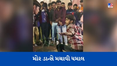 Viral Video : મુર્ગા-નાગિન ડાન્સને ભૂલી જશો, હવે મોર ડાન્સે મચાવી ધમાલ, લોકોએ કહ્યું- ભાઈ ઈંડા આપીને જ રાજી થશે