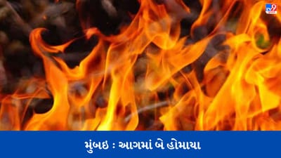 Breaking News: મુંબઈના સાકીનાકામાં હાર્ડવેરની દુકાનમાં આગ, બેનાં મોત