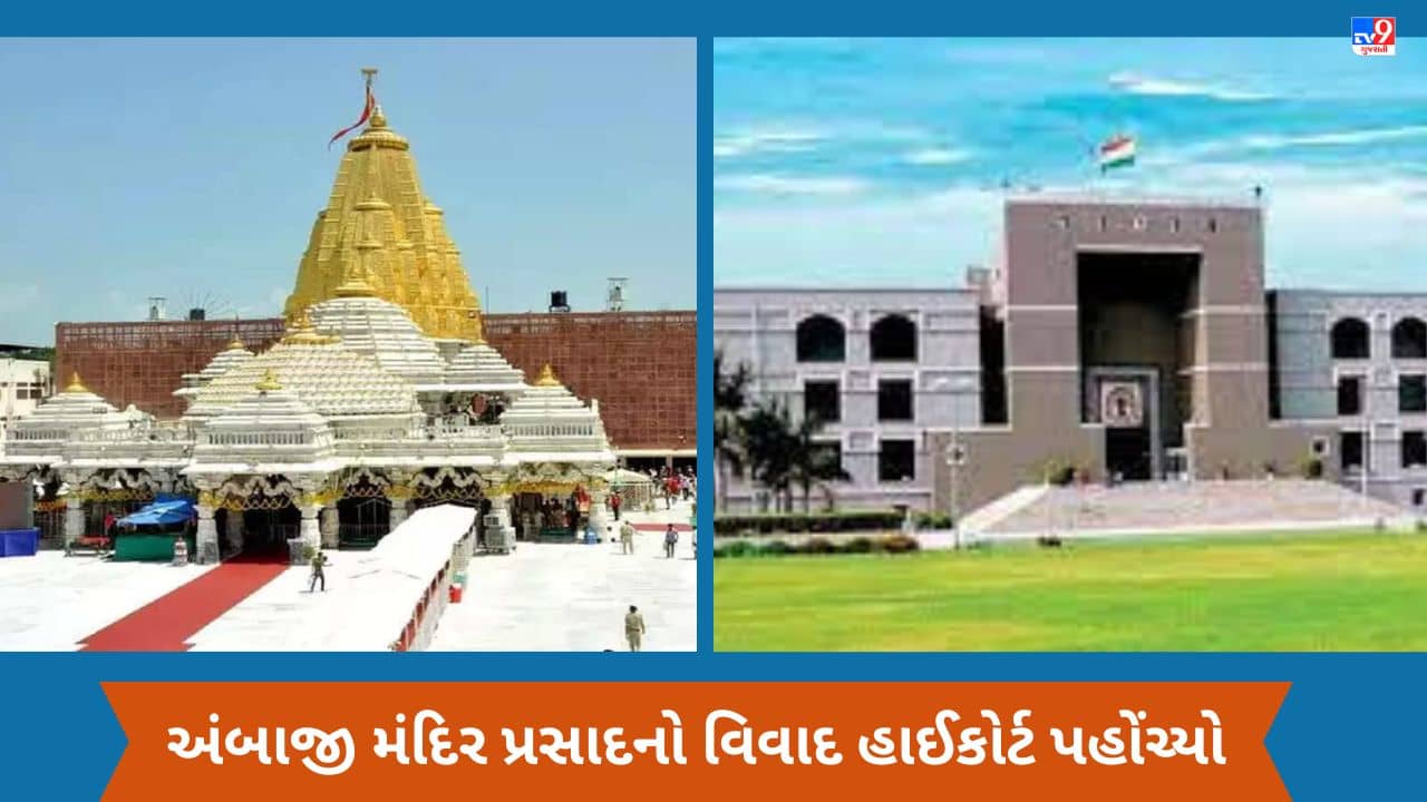 Gujarati VIDEO : અંબાજી મંદિરમાં પ્રસાદ વિવાદ વધુ વકર્યો, મોહનથાળને લઈને હાઇકોર્ટમાં દાખલ થઈ શકે છે PIL