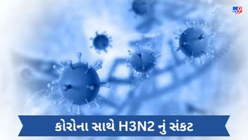 Maharashtra : 'વાયરસ'નો ડબલ અટેક ! કોરોના કેસ 200 નજીક, H3N2 થી વધુ એક મોત થતા લોકોમાં ફફડાટ