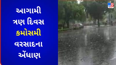 Maharashtra : કમોસમી વરસાદના કારણે ખેડૂતો થયા પાયમાલ, હજુ ત્રણ દિવસ વરસાદની હવામાન વિભાગે કરી આગાહી