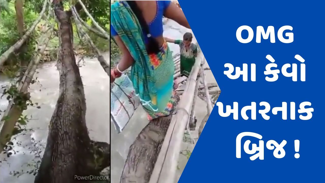 Viral Video જીવના જોખમે ખતરનાક બ્રિજ ક્રોસ કરી રહી છે મહિલાઓ જોઈને