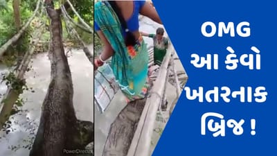 Viral Video : જીવના જોખમે ખતરનાક બ્રિજ ક્રોસ કરી રહી છે મહિલાઓ, જોઈને તમે પણ દંગ રહી જશો