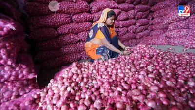 મહારાષ્ટ્રના મુખ્ય પ્રધાન એકનાથ શિંદેએ મંગળવારે વિધાનસભામાં જણાવ્યું હતું કે બજારમાં ડુંગળીના ભાવ ઘટી રહ્યાં છે. તે વચ્ચે મહારાષ્ટ્ર સરકાર ડુંગળીની ખેતી કરનાર ખેડૂતો સાથે છે. તેમણે કહ્યું કે જો જરૂર પડશે તો સરકાર ખેડૂતોને આર્થિક મદદ કરશે.