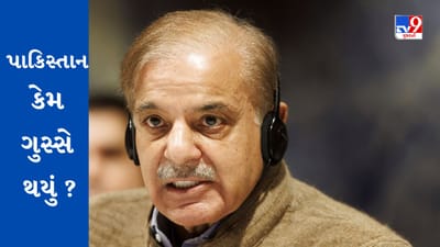 અમેરિકન ઈન્ટેલિજન્સ રિપોર્ટ પર પાકિસ્તાન ગિન્નાયું, ઉલટું ભારત પર આ આરોપ લગાવ્યો