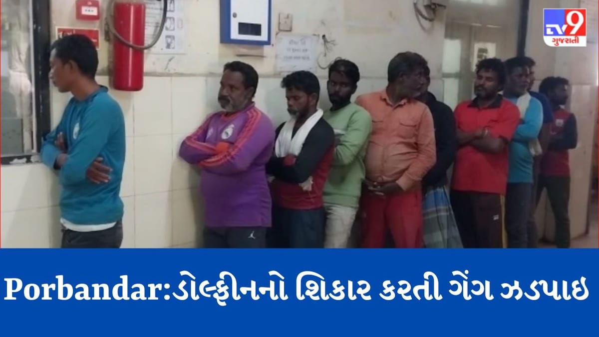 Breaking News: પોરબંદરના દરિયામાંથી Dolphinનો શિકાર કરતી ગેંગ ઝડપાઈ, વનવિભાગે 10 શખ્સોને ડોલ્ફીન સાથે ઝડપી પાડ્યા