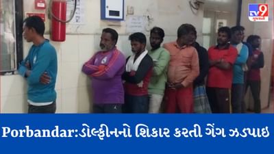 Breaking News: પોરબંદરના દરિયામાંથી Dolphinનો શિકાર કરતી ગેંગ ઝડપાઈ, વનવિભાગે 10 શખ્સોને ડોલ્ફીન સાથે ઝડપી પાડ્યા