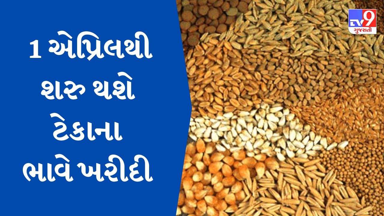 Breaking News : 1 એપ્રિલથી ટેકાના ભાવે ઘઉં, બાજરી, જુવાર, રાગી અને મકાઈની ખરીદી શરુ થશે, ખેડૂતો આજથી જ કરાવી શકશે રજીસ્ટ્રેશન