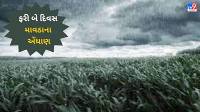 Gujarati VIDEO : રાજ્યમાં આગામી બે દિવસ કમોસમી વરસાદના એંધાણ, જગતના તાત પર ઘેરાયા ચિંતાના વાદળો