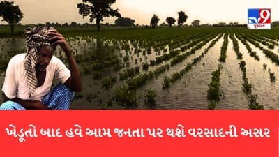 કમોસમી વરસાદ ખેડૂતો સહિત મોંઘવારીને પણ કરશે અસર, જાણો કેમ ?